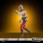Kithaba (Skiff Guard) 3.75″ Action Figure – Star Wars The Vintage Collection F7338 by Hasbro – Return of the Jedi Patrol Figure